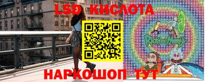 СК Конаково