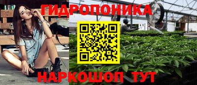 СК Конаково