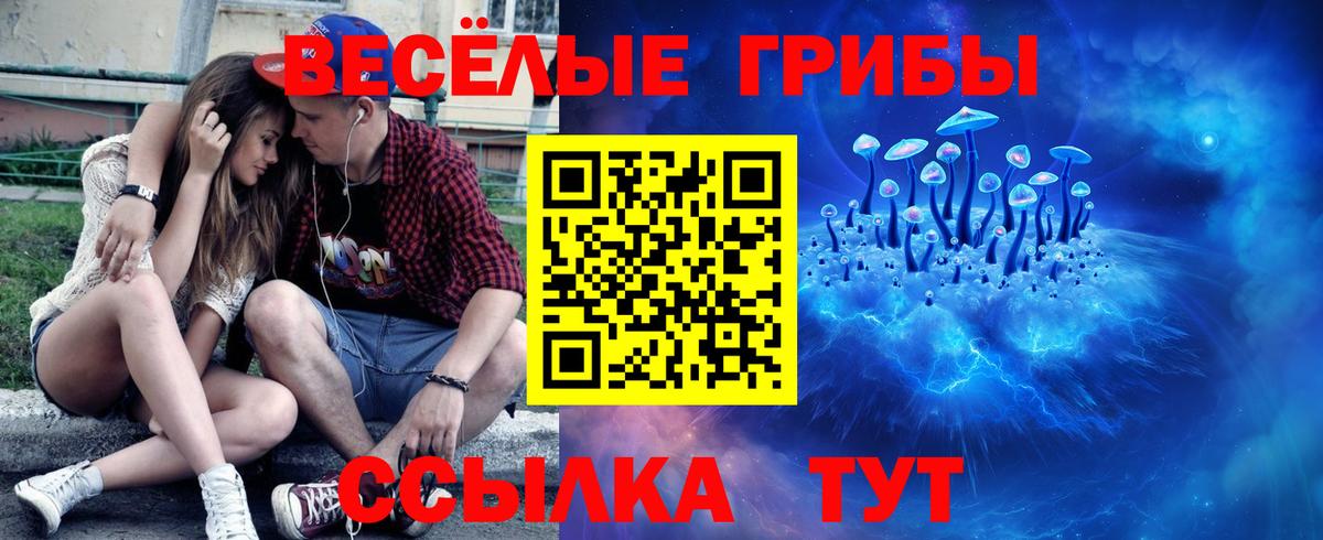Псилоцибиновые грибы Magic Shrooms  Вход с VPN  Кандалакша  Галлюциногенные грибы ЛСД 